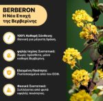 Berberon + Hot Silhouette Set - Image 2