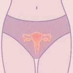 WOMEN’S ONLY – Menopause Formula 60 Caps | Ορμονική Ισορροπία & Ευεξία - Image 7